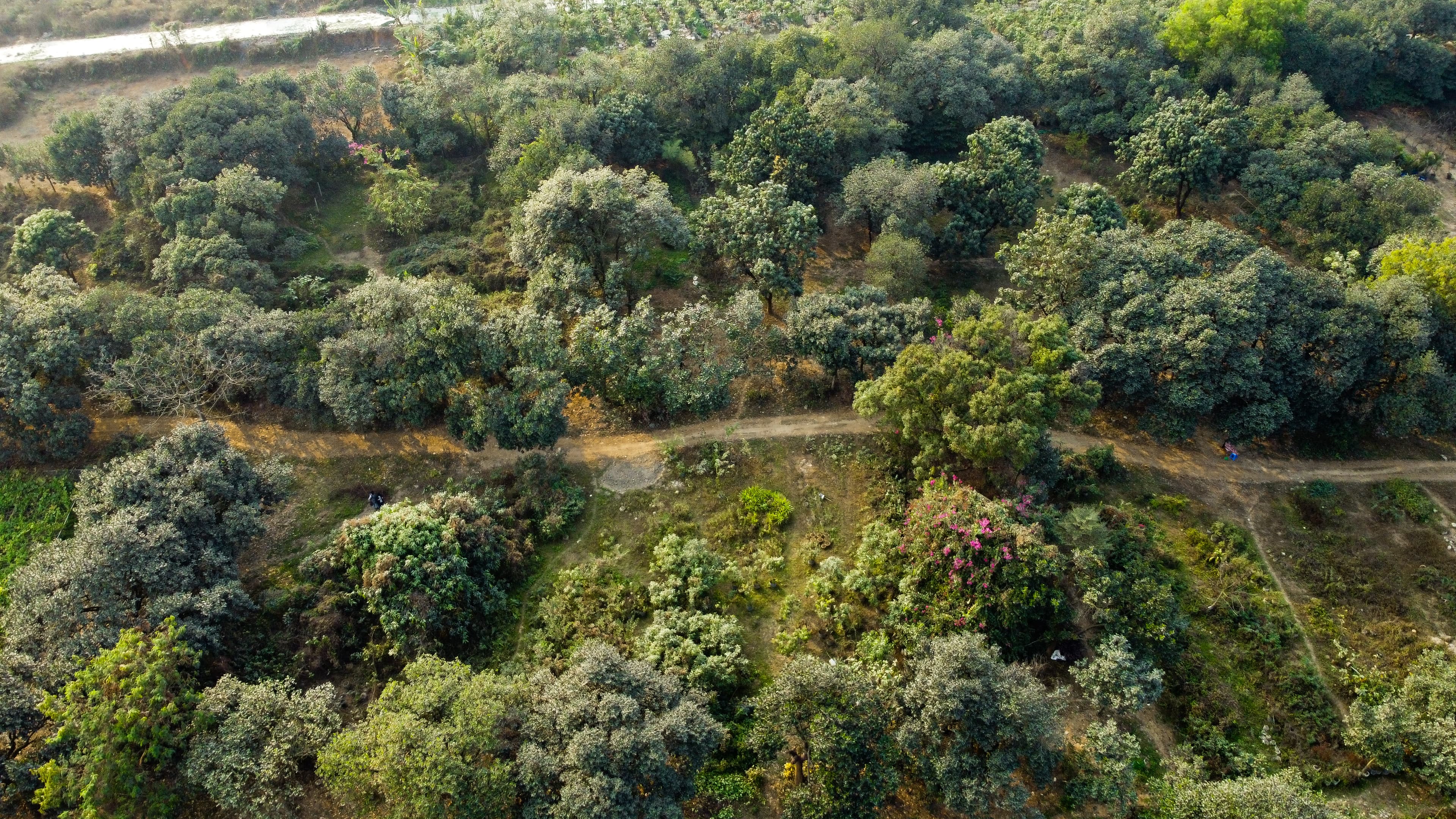 Aerial panorama of The River Edge