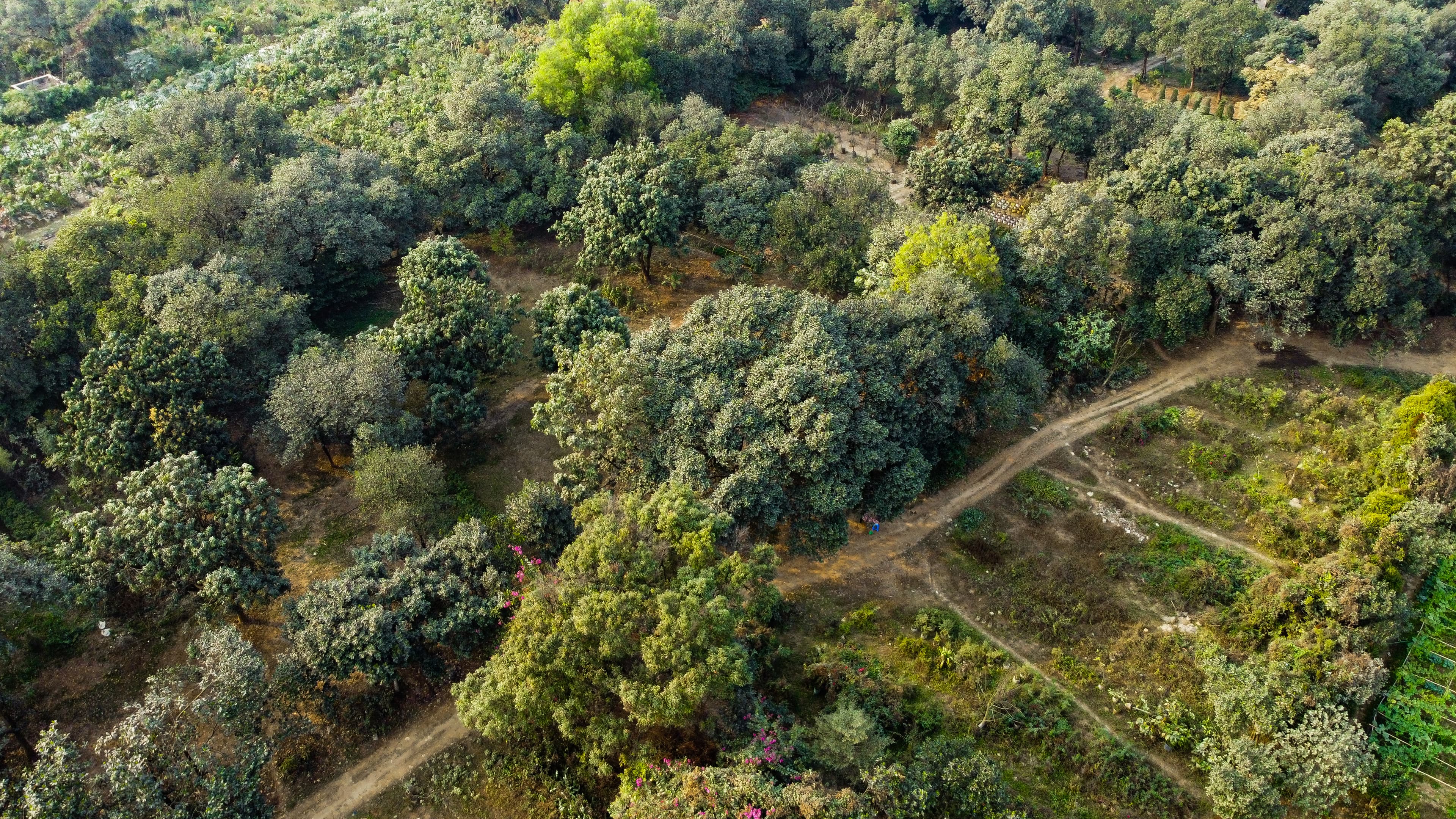 Drone view of the surrounding area