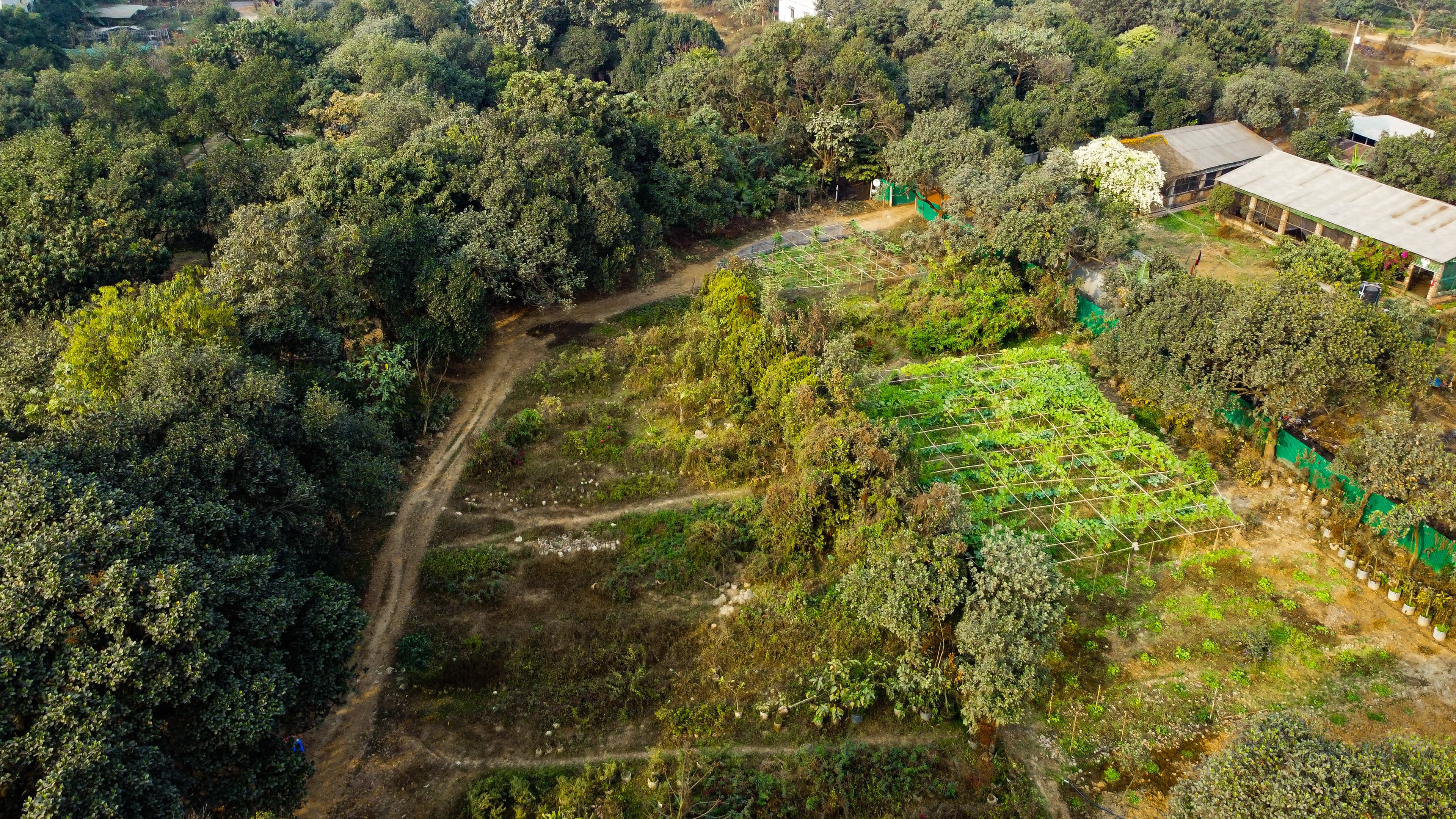 Aerial view of the waterfront
